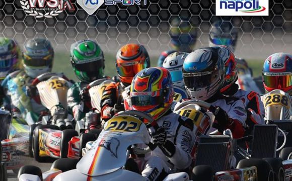 WSK Euro Series – Sarno (ITA) 31/03/2019